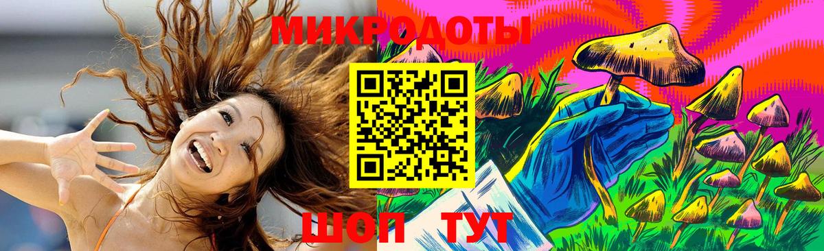 Галлюциногенные грибы Psilocybe Костомукша